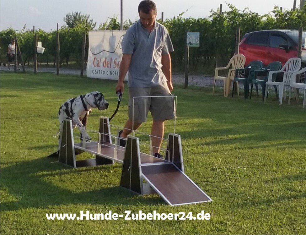 Hundeschule in Italien