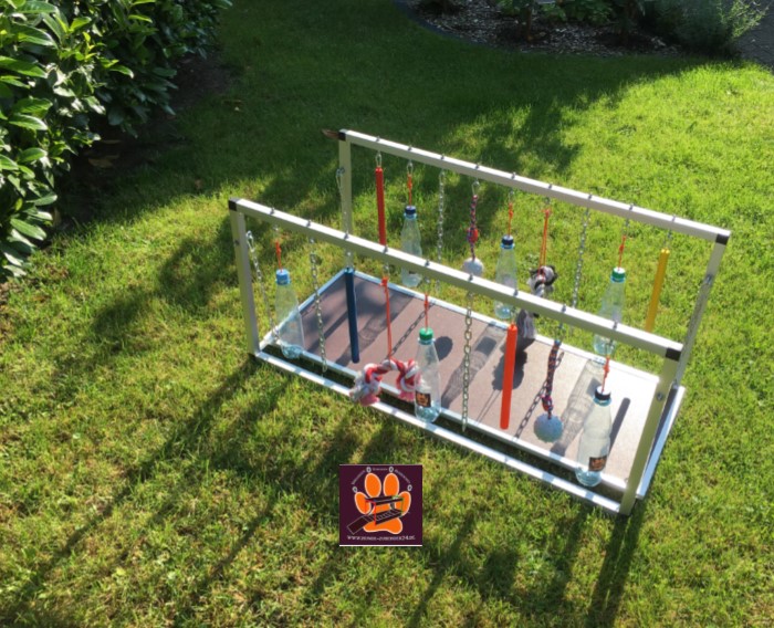 Welpenspielzeug, Hundetraining, Welpenaufzucht, Welpenzucht, Hundezucht, Hundesport; Welpen,